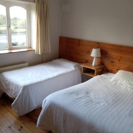 Parnell House Bed & Breakfast Ennis Exterior foto